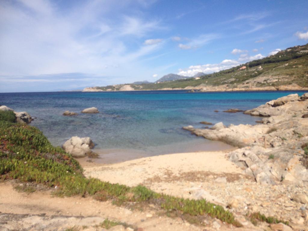 Calvi Appart Hotel Exteriér fotografie